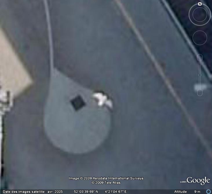 Oiseaux visibles sous Google Earth - Page 4 Mouett12