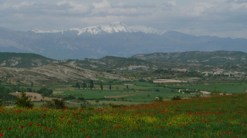 W.E du 8 Mai en Sierra de guara P1020610