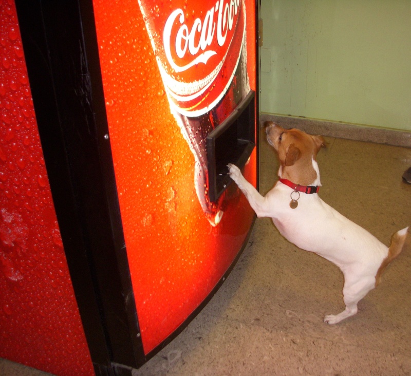 Enjoy The Coca Cola Side Of Life 03611