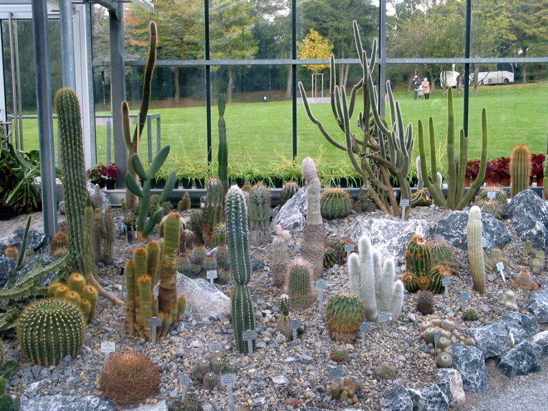 Botanischer Garten Wuppertal