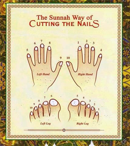 Cutting nails - The Sunnah Way.. Nail1011