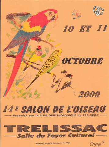 Bourse aux oiseaux (Trélissac, dordogne) 17120710