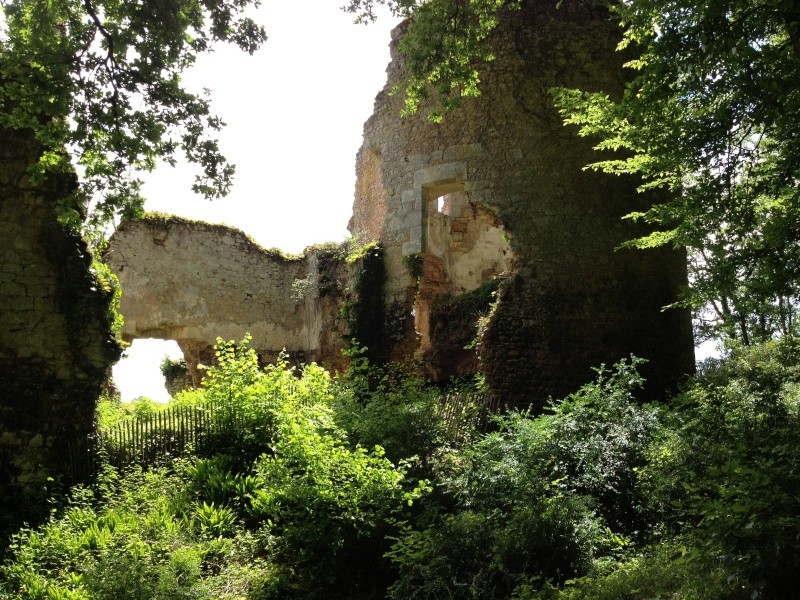 Escapade avec Baltik  en Dordogne dans le perigord noir Img_1312