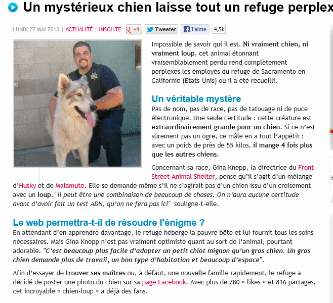 Entre chien et loup ?? Sans_t13