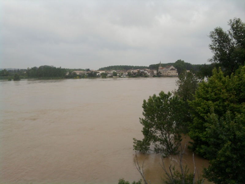 Alerte à la crue de la Garonne -  Inondation Photo218