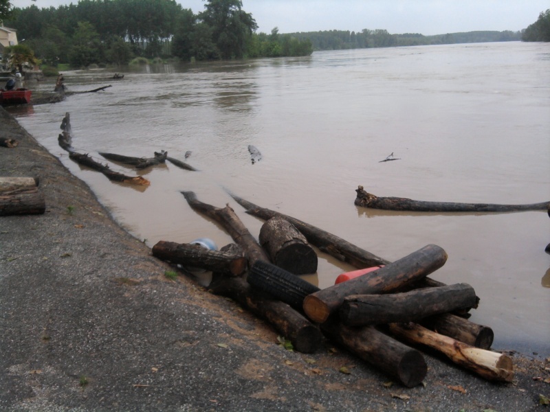 Alerte à la crue de la Garonne - Inondation Photo221