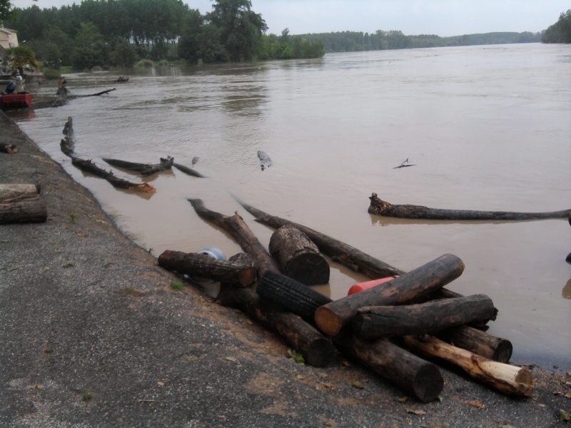 Alerte à la crue de la Garonne -  Inondation Photo221