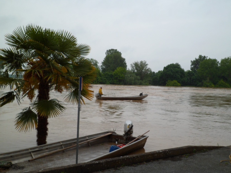 Alerte à la crue de la Garonne -  Inondation Sam_0912