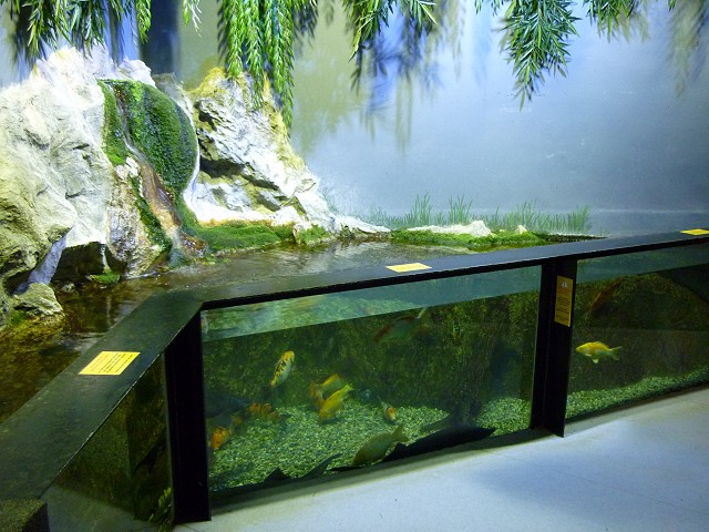 [Visite] Aquarium du grand Lyon 0210