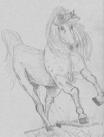 Sweety's Artwork Emporium! I take construcive Critsicm and requests! Horse10