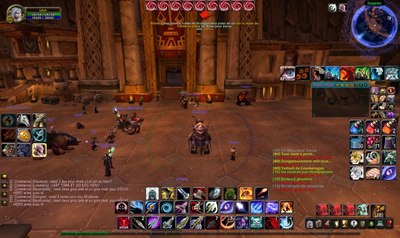 Interface Heal Wowscr13