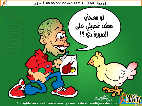 فرخة بنت الديك باشا Chicke10