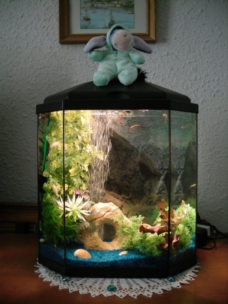 [ VEND ]   Aquarium 30 L   ( acheté en Juin 2009 ) Sdc10110