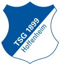 TSG 1899 Hoffenheim 120px-12