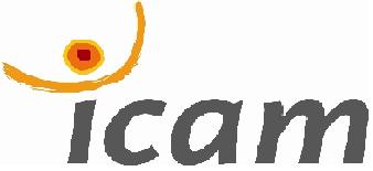 Promo 114 de l'ICAM Toulouse