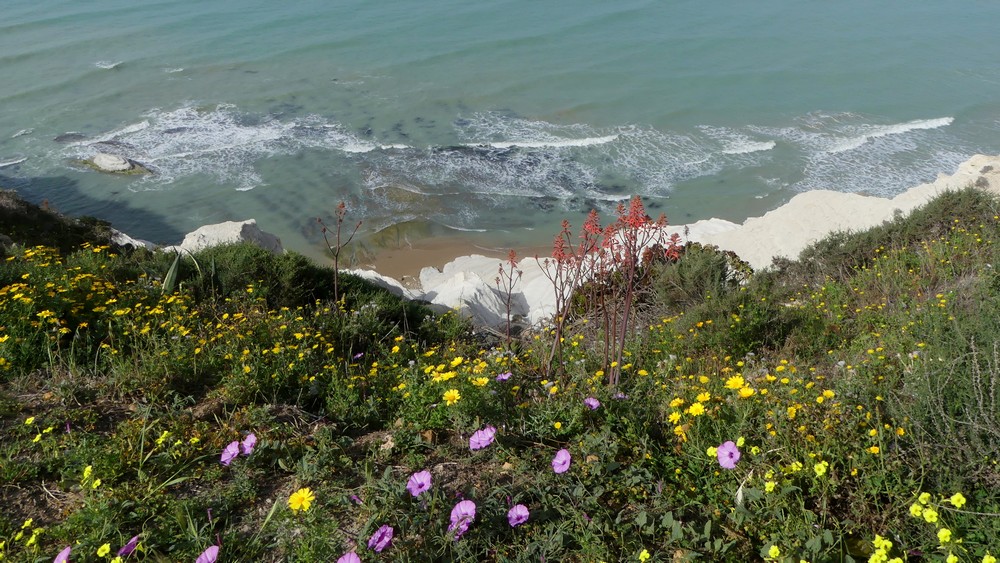 Sicile du 18 avril au 7 mai 2019 29_sca10