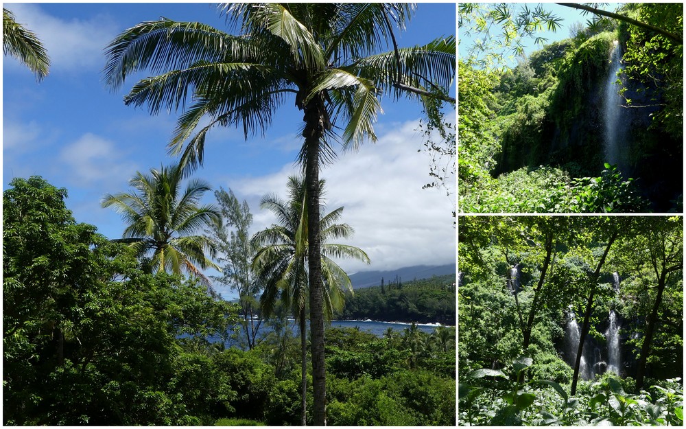 2019 Sixième séjour à la Réunion du 19 février au 2 avril 34_ans10