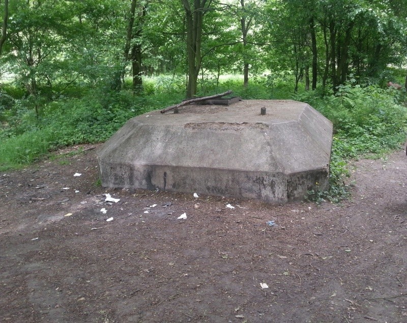 foret de Raismes (59) 20130612