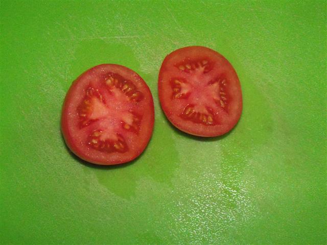 Earliest Tomato experiment. - Page 2 06-18-12