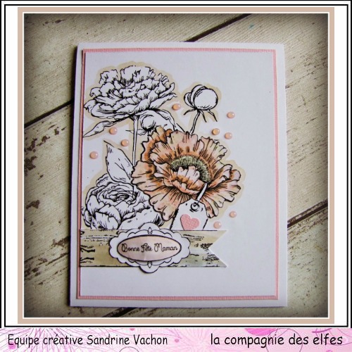 Carte fête des mères  26 mai 3/3 ....A programmer . Carte219