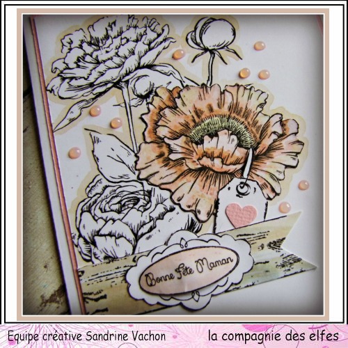 Carte fête des mères  26 mai 3/3 ....A programmer . Carte220