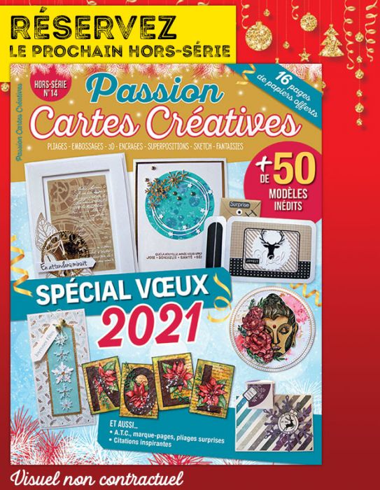 Passion Cartes Créatives Hors Série n°14 Passio18