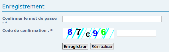 Utiliser ReCaptcha Captur86