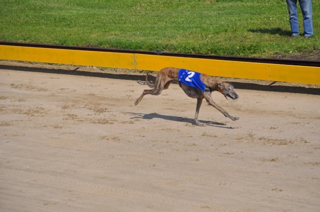 Championnat de France de travail - SOISSONS - 25/05/2013 Dsc_0415