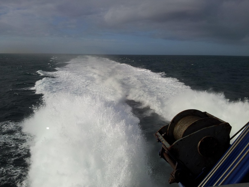 sortie à Jersey avec mini de la baie F_2310