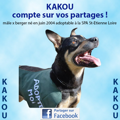 Urgent - KAKOU - x berger 7 ans - Spa de Saint Etienne (42) Fb-kak10