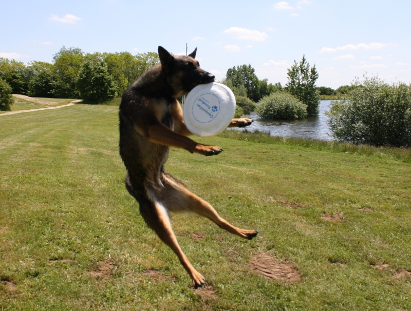 Easy se met au frisbee ^^ 05410