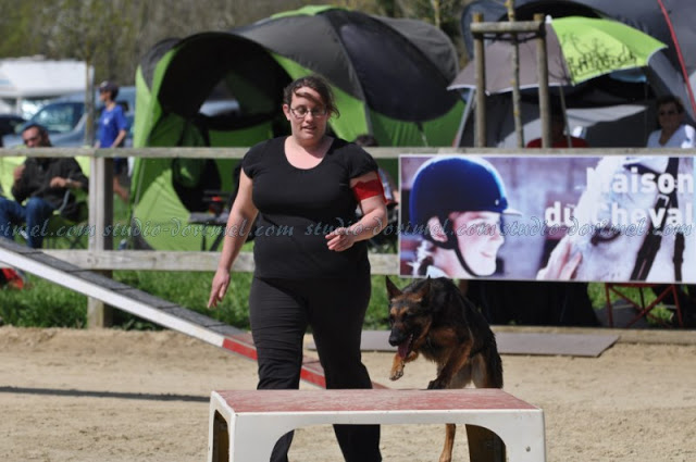 Easy à l'agility - Page 21 Dsc_0015