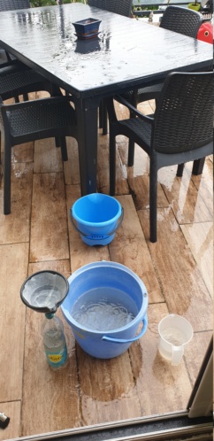 Récupération d'eau de pluie  Inboun10
