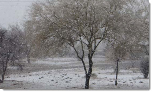 Winter Wonderland Pics and Videos! Snow-w10