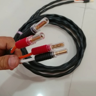 2S11F Japan Canare Speaker Cable With Banana Plugs 3 meters pair 12 AWG 20191255