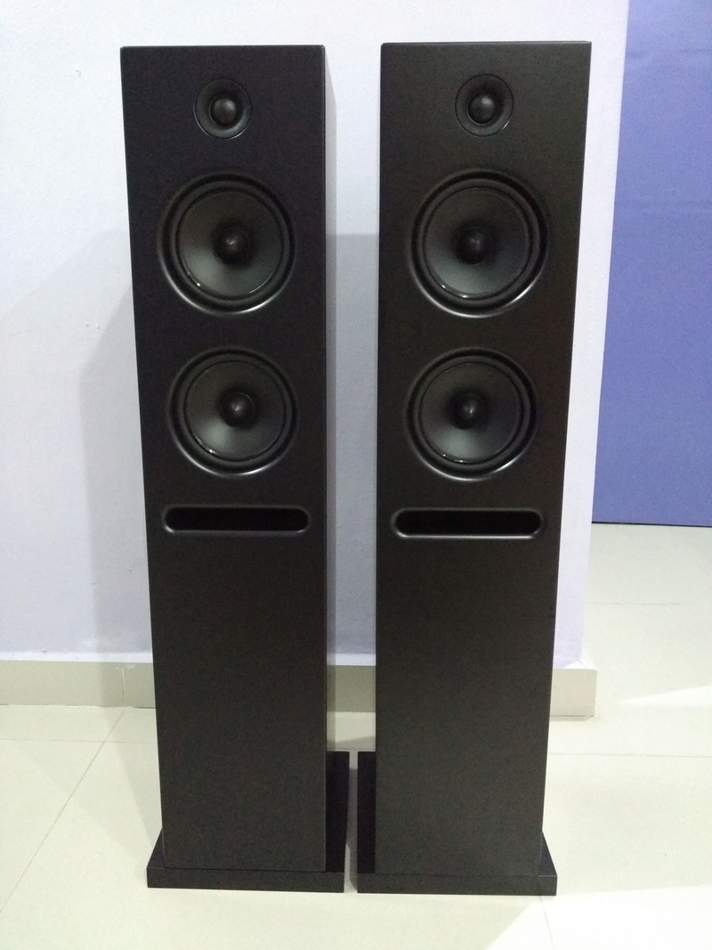 EPOS K2 2.5-way Floorstanding Speaker  Img_2112