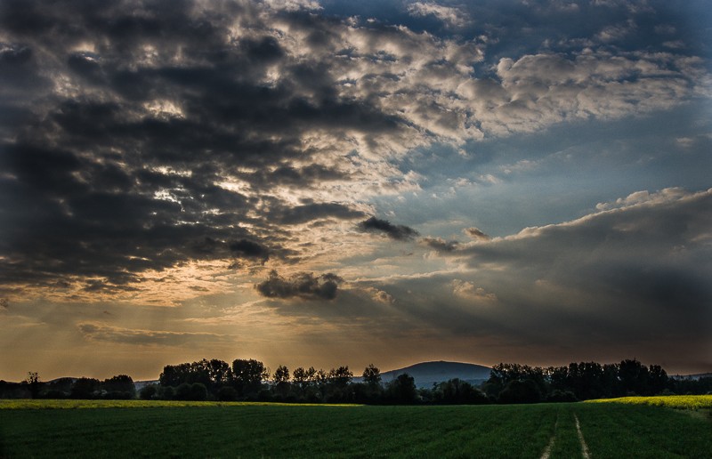 Rayons de soleil sur la butte chaumont Dsc04111