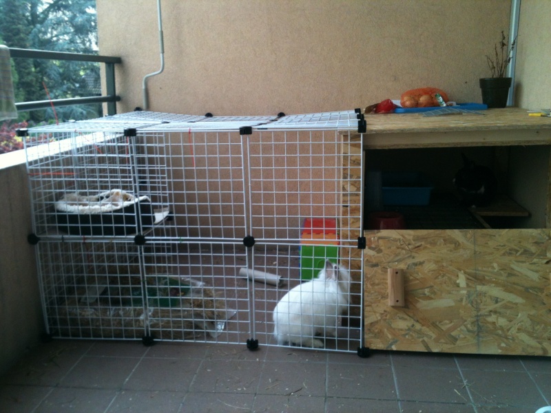 Habitation des lapins : exemples de cages, enclos ... - Page 23 Img_2515