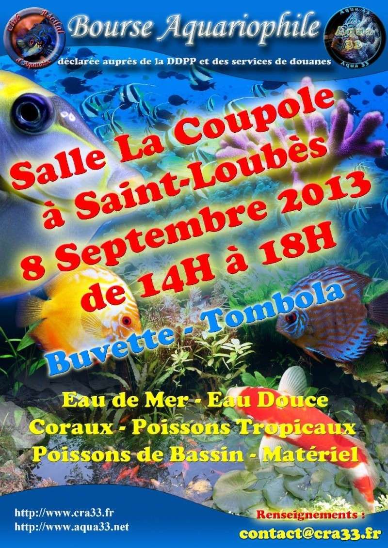 Bourse le 8 septembre à saint Loubès, près de Bordeaux Bourse10