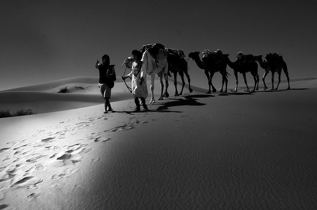 desert - Désert de l'Erg Chebbi, Merzouga. Dsc_0111