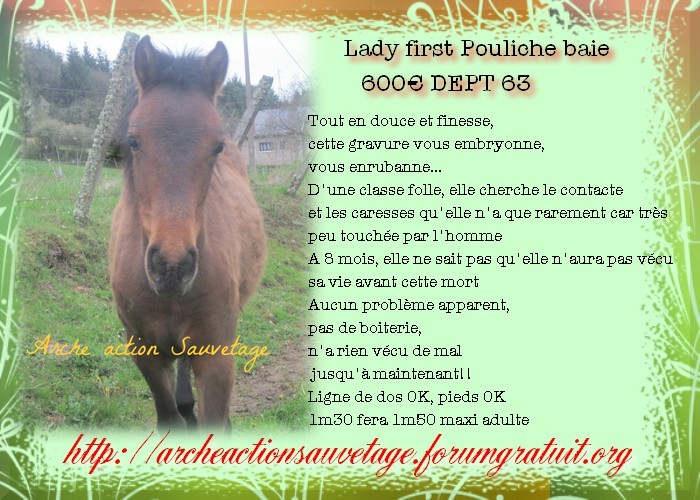Lady first Pouliche baie 600€ dept 63- TROP TARD  611
