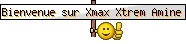 Nouveau  Xmax_a11
