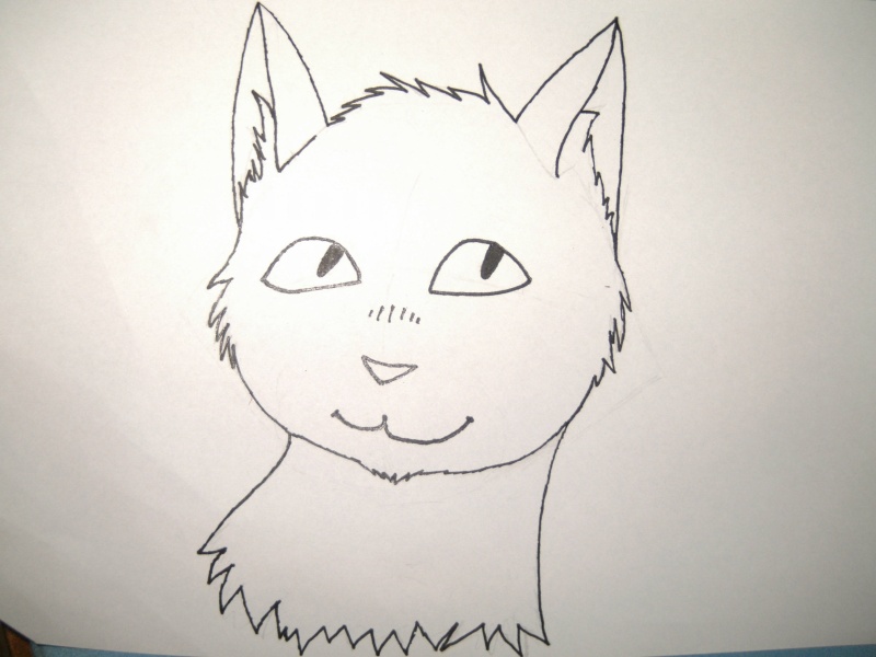 Sunny's Katzen-Zeichenschule Bild0010