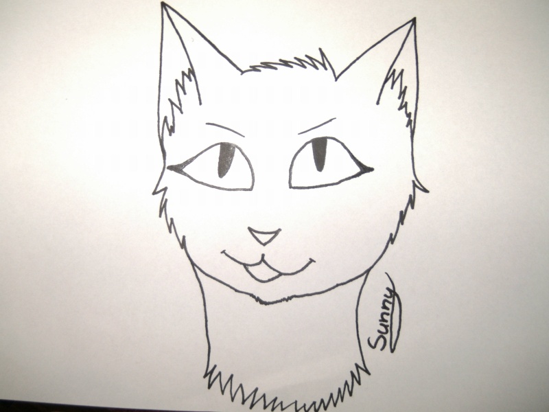 Sunny's Katzen-Zeichenschule Bild0011