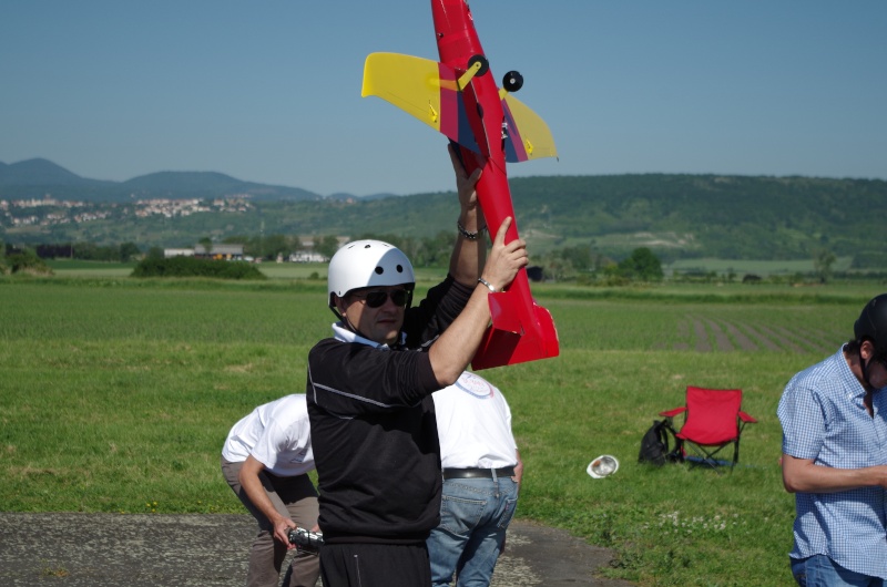 Concours de GERZAT le 16 juin 2013 Imgp2629