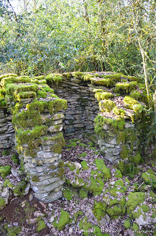 REPARATION d'une CADEULE sur le Cray 01_dsc11