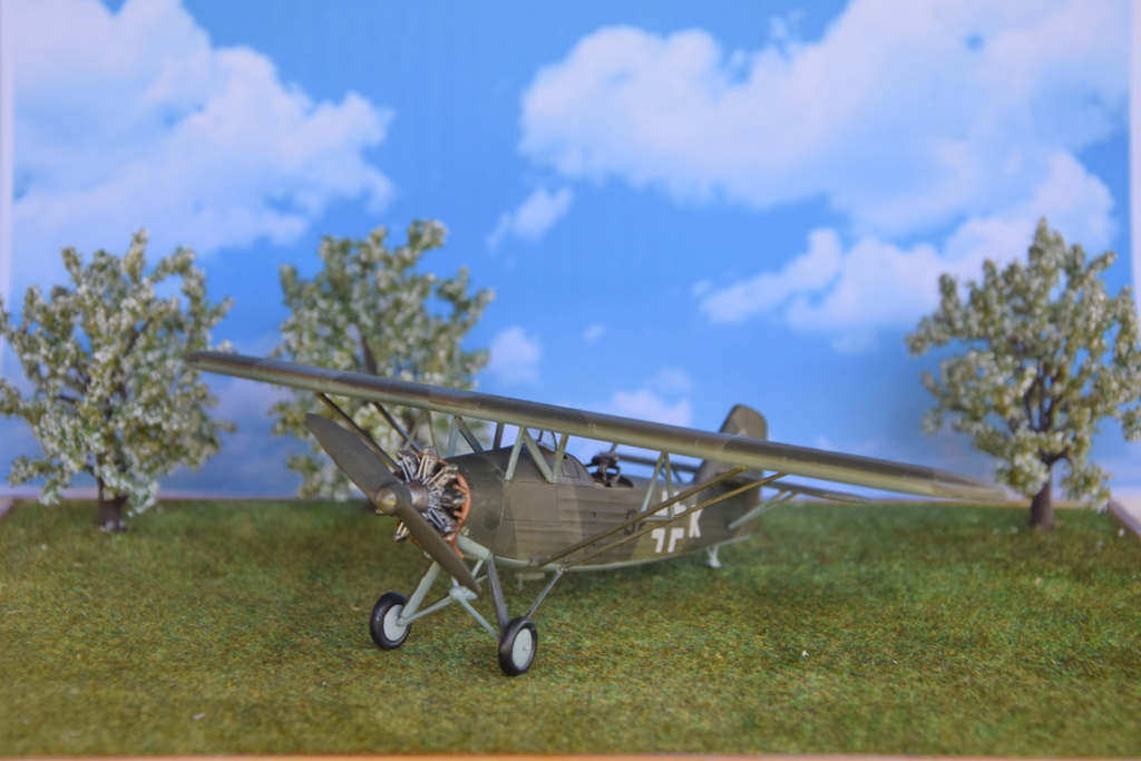 [AML] 1/72 - Heinkel He 46 c-1   (he46) Dsc_0047