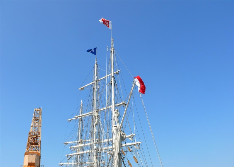 [FRANCE] Trois-mâts barque BELEM - Page 4 Le_b1229