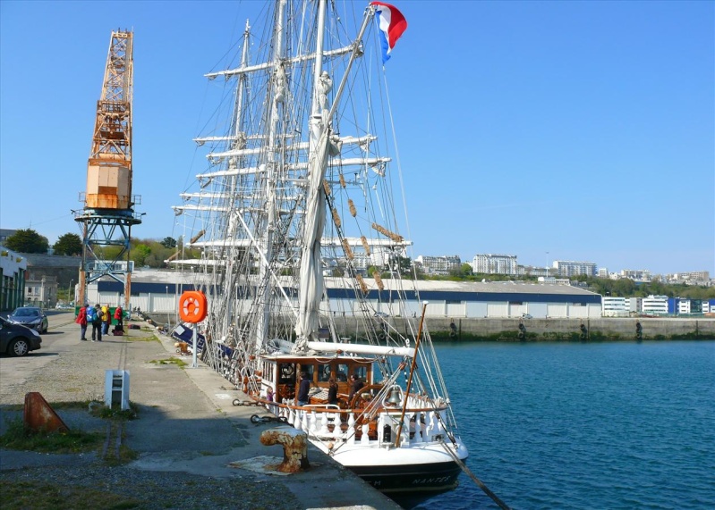 LE BELEM en escale à BREST (480 photos environ) - Page 2 Le_be741