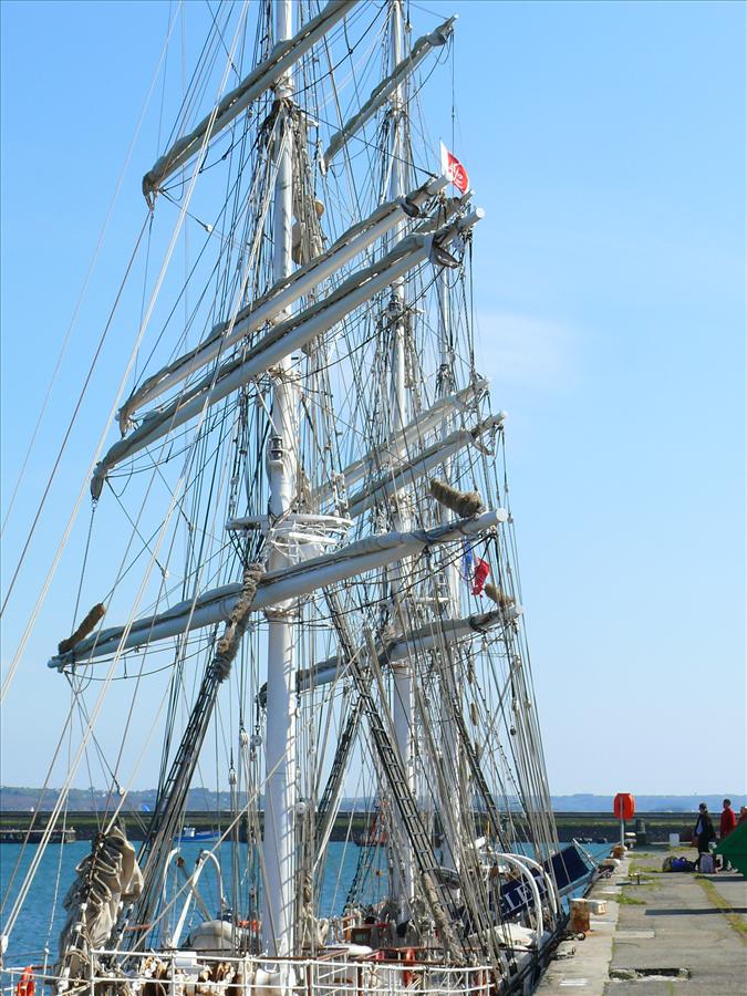 LE BELEM en escale à BREST (480 photos environ) - Page 3 Le_be936